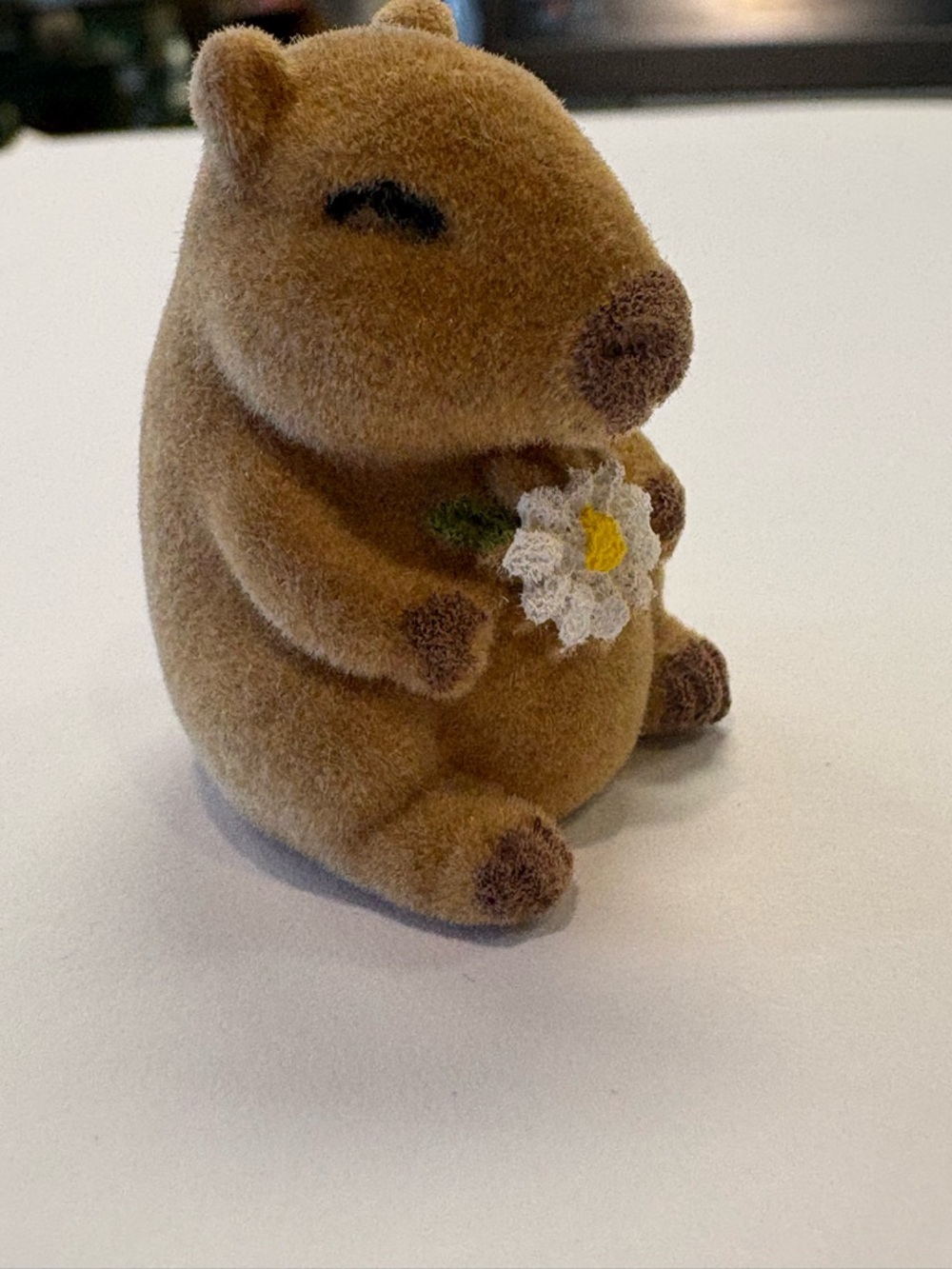 Capybara Charm